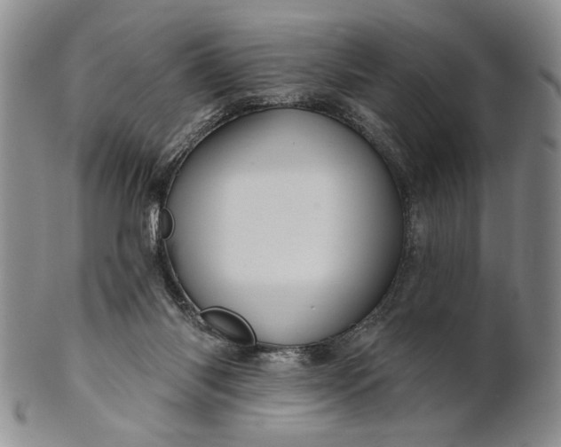 X0000100780118200807101825