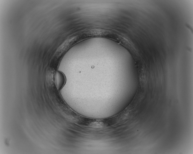X0000100780119200807101825