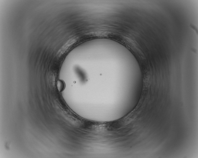 X0000100780120200807101825