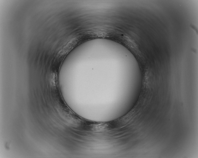 X0000100780122200807101825