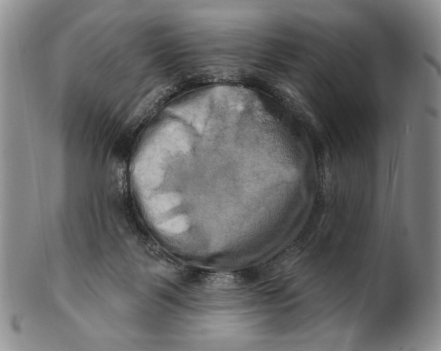 X0000100780123200807101825