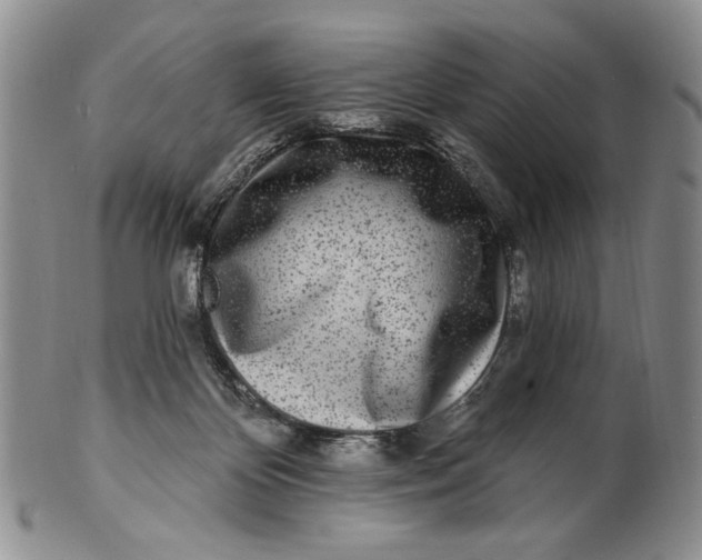 X0000100780124200807101825
