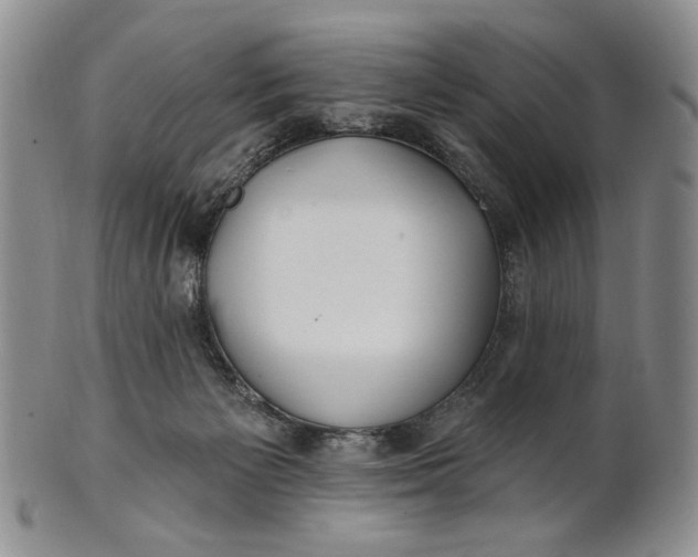 X0000100780125200807101825