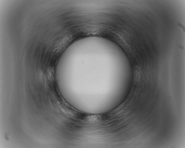 X0000100780126200807101825