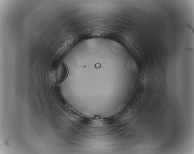 X0000100780127200807101825
