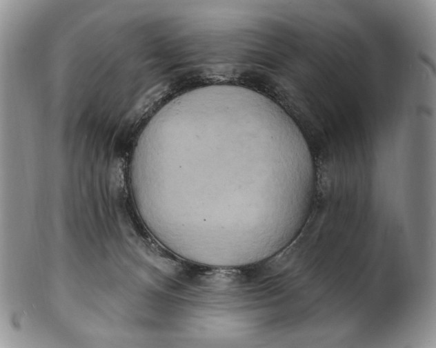 X0000100780128200807101825