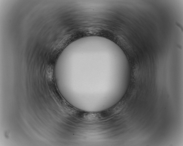 X0000100780129200807101825