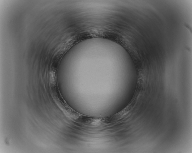 X0000100780130200807101825