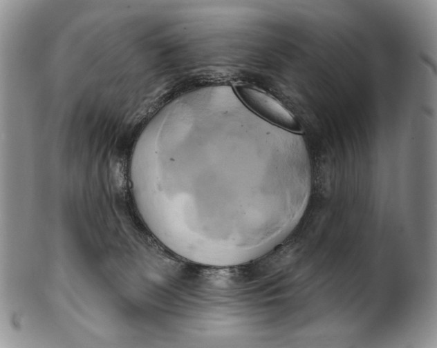 X0000100780131200807101825