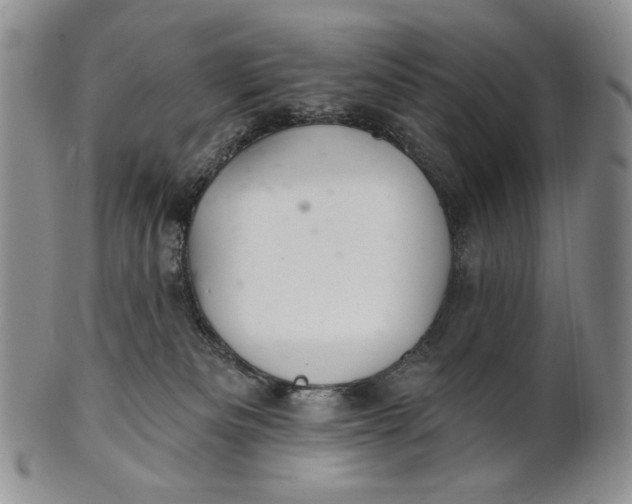 X0000100780133200807101825