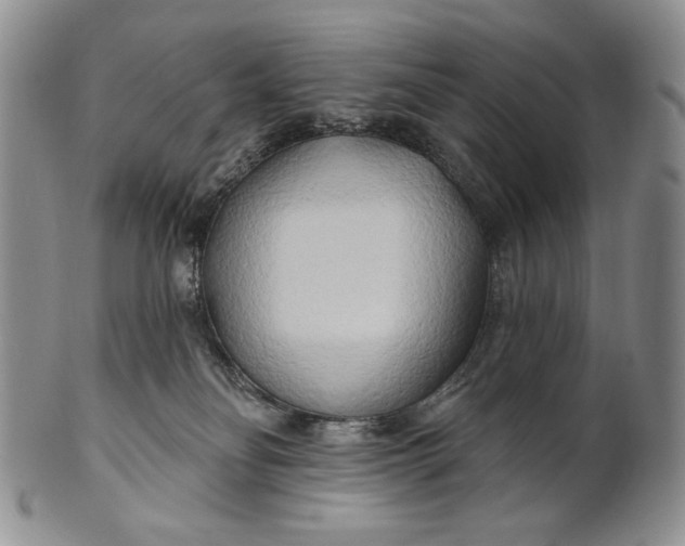X0000100780134200807101825