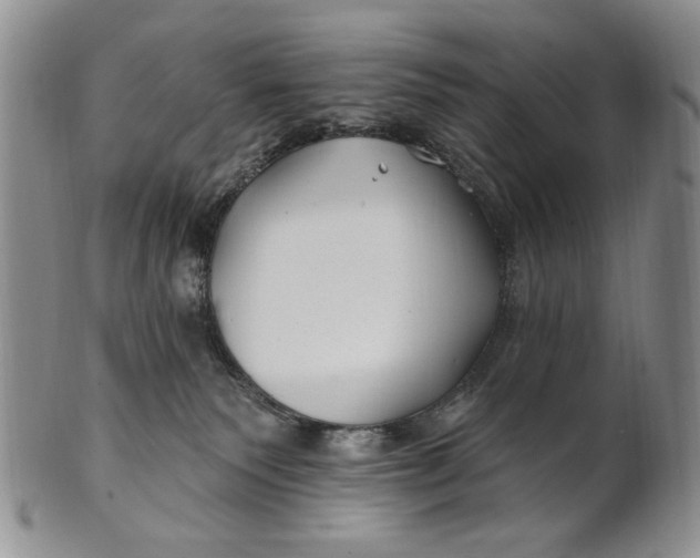 X0000100780135200807101825