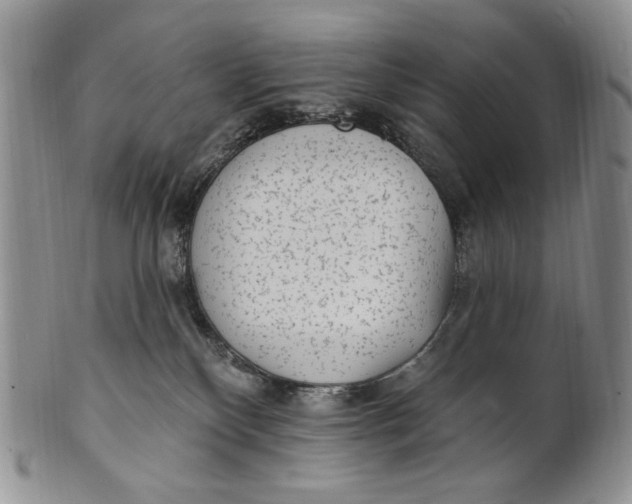X0000100780136200807101825