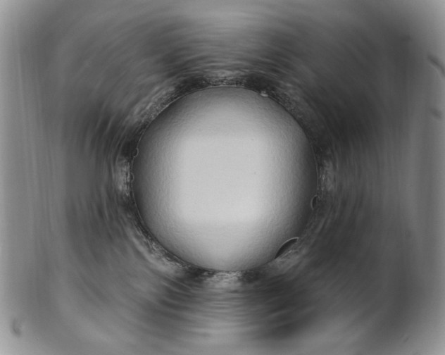 X0000100780138200807101825