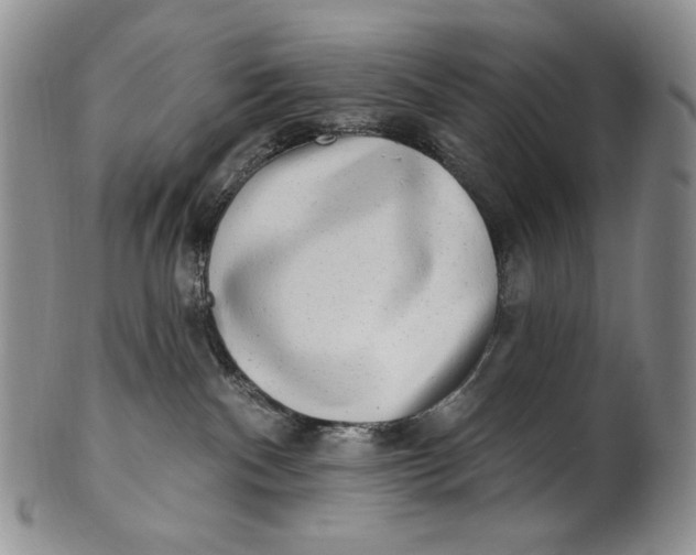 X0000100780140200807101825