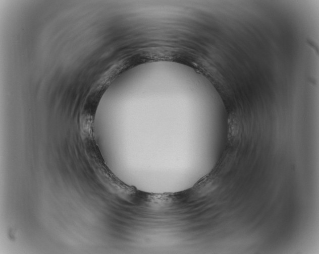 X0000100780141200807101825