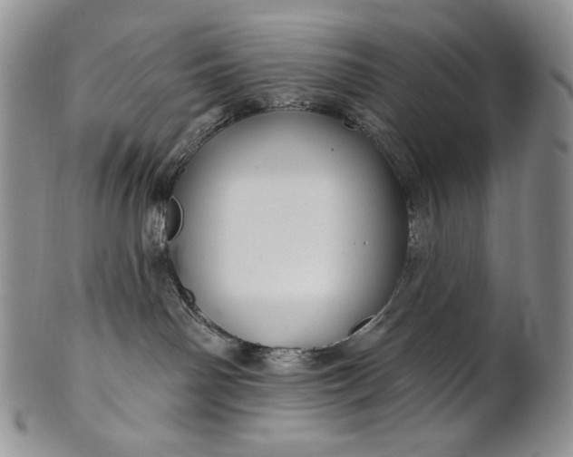 X0000100780142200807101825