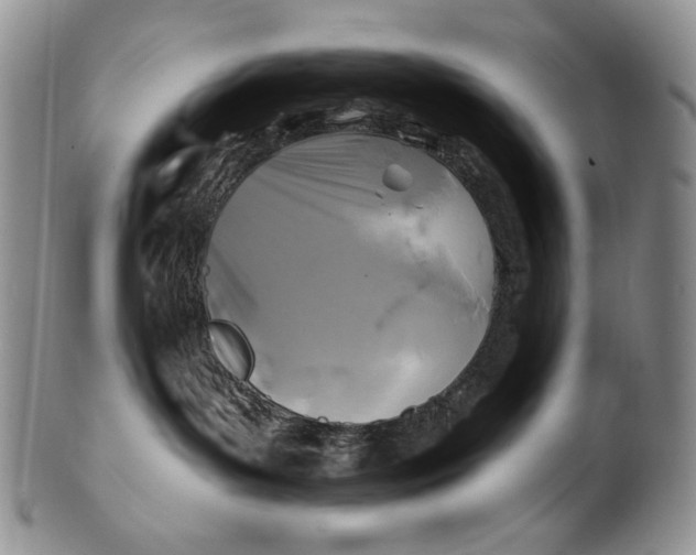 X0000100780143200807101825