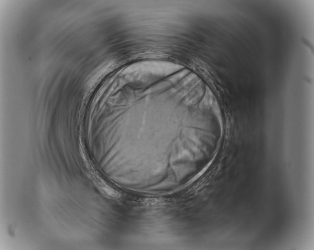 X0000100780145200807101824