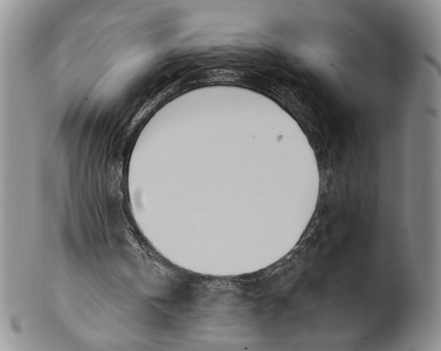 X0000100780146200807101824