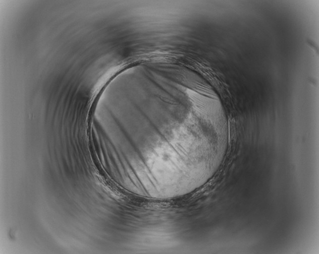 X0000100780147200807101824