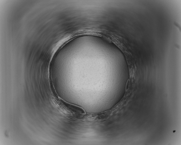 X0000100780148200807101824