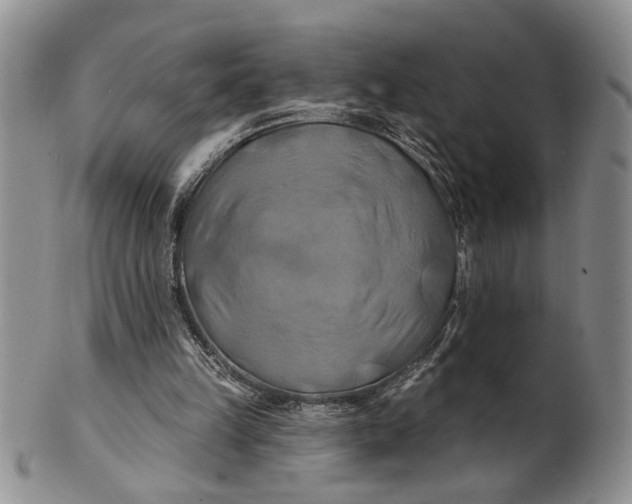 X0000100780149200807101824