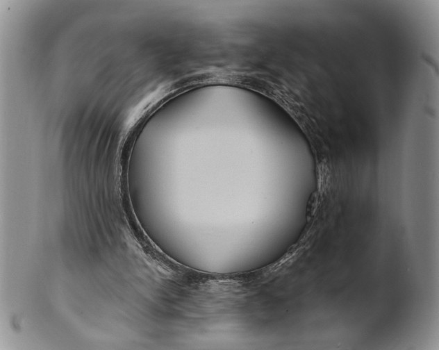 X0000100780150200807101824