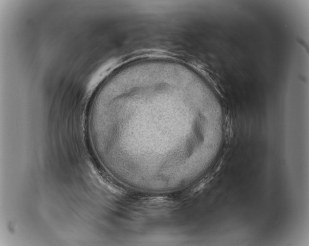 X0000100780151200807101824
