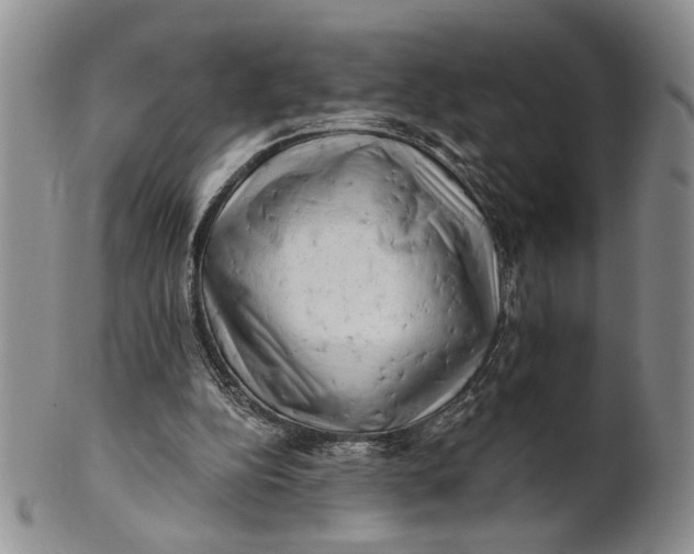 X0000100780152200807101824