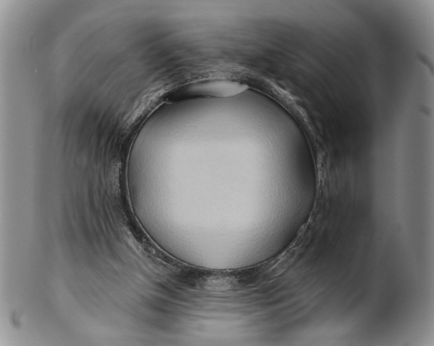 X0000100780154200807101824