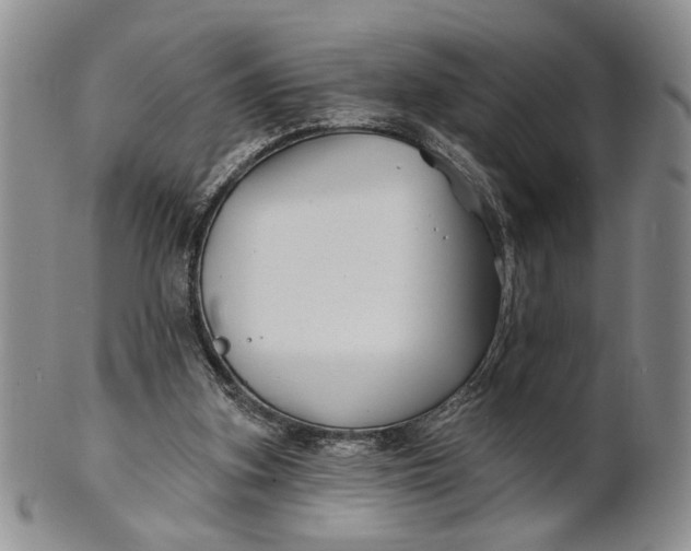 X0000100780155200807101824