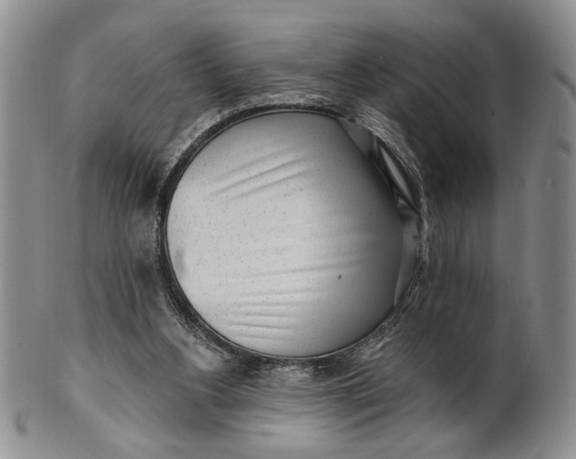 X0000100780156200807101824