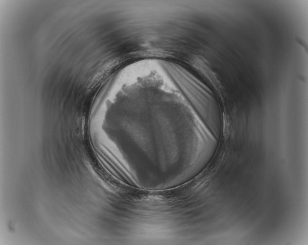 X0000100780157200807101824