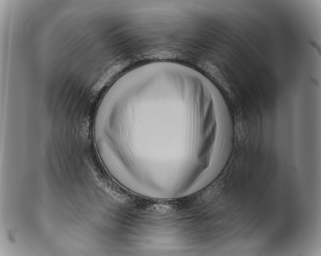 X0000100780159200807101824