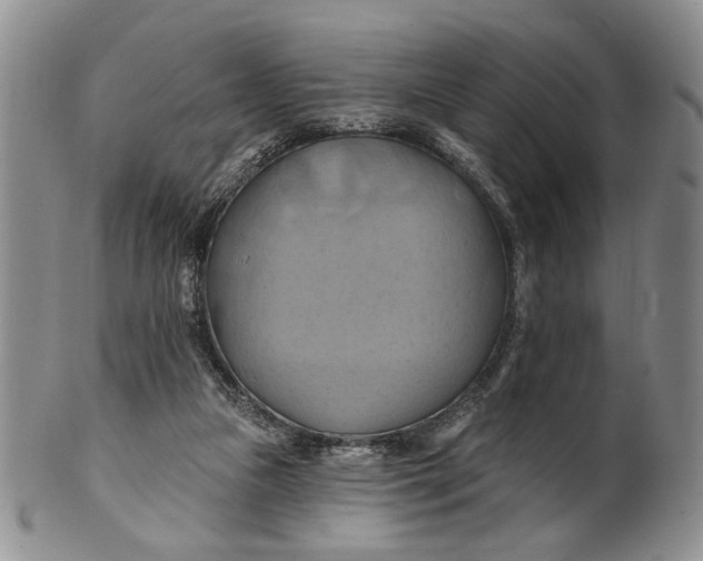X0000100780161200807101825
