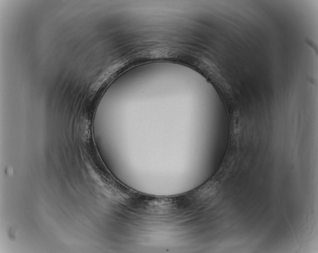 X0000100780164200807101825