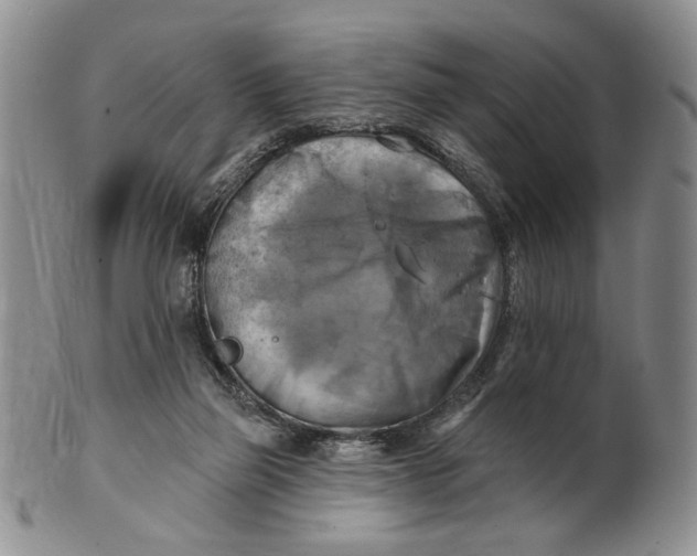 X0000100780165200807101825