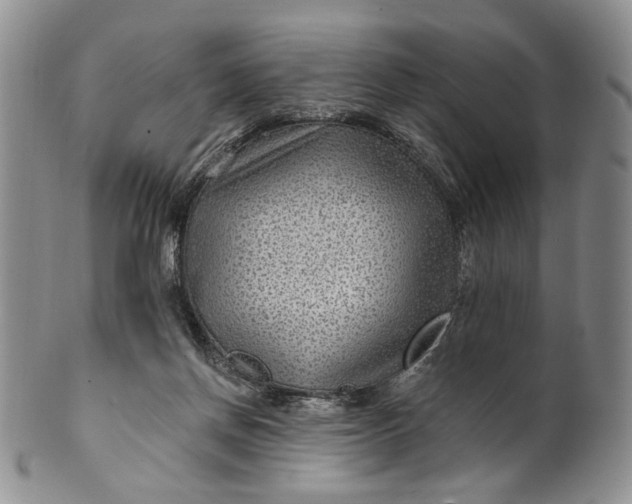 X0000100780166200807101825