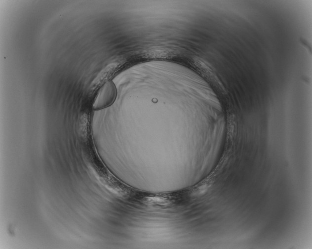 X0000100780167200807101825