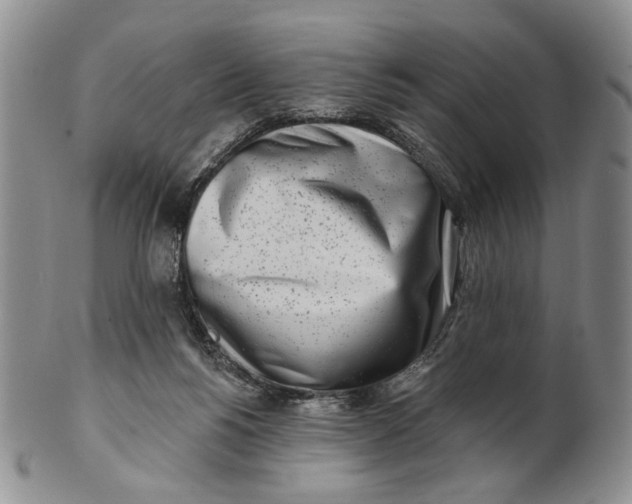 X0000100780168200807101825