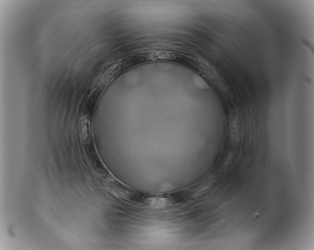 X0000100780169200807101825