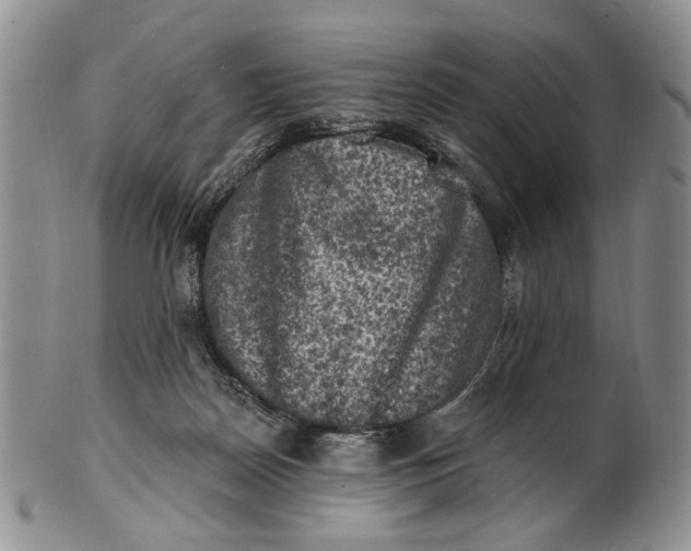 X0000100780170200807101825