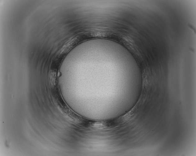 X0000100780171200807101825