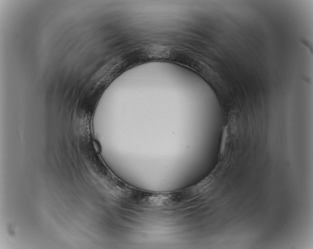 X0000100780172200807101825
