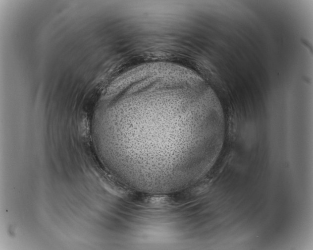 X0000100780173200807101825
