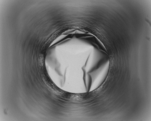 X0000100780174200807101825