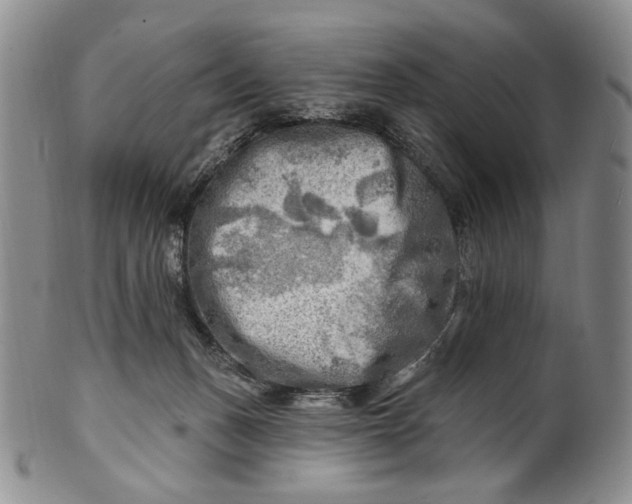 X0000100780175200807101825