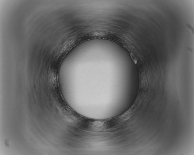 X0000100780176200807101825