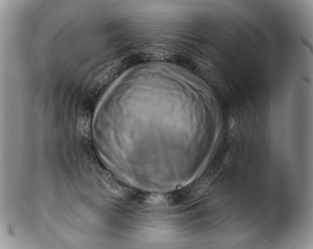 X0000100780177200807101825